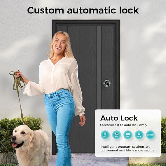 Fingerprint and Keypad Input Smart Door knob